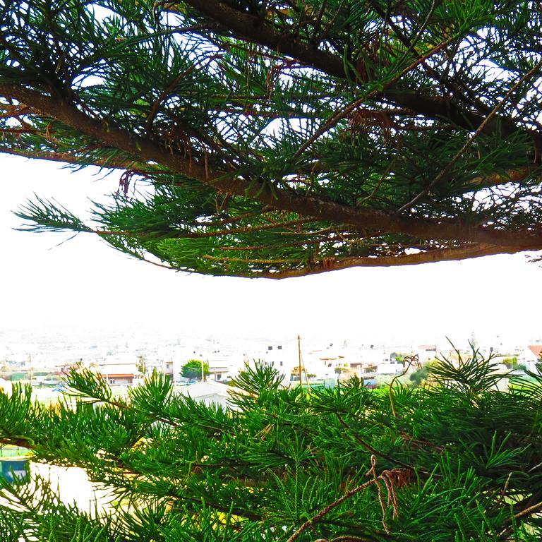 Frosso'S Apartments Kokkini Hani Bagian luar foto